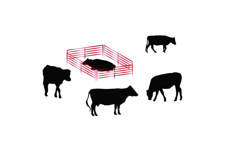 BRD Battle Plan Boehringer Ingelheim Animal Health